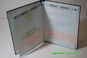 Купить диплом ИМПЭ им. Грибоедова в Туле — Института международного права и экономики имени А.С. Грибоедова